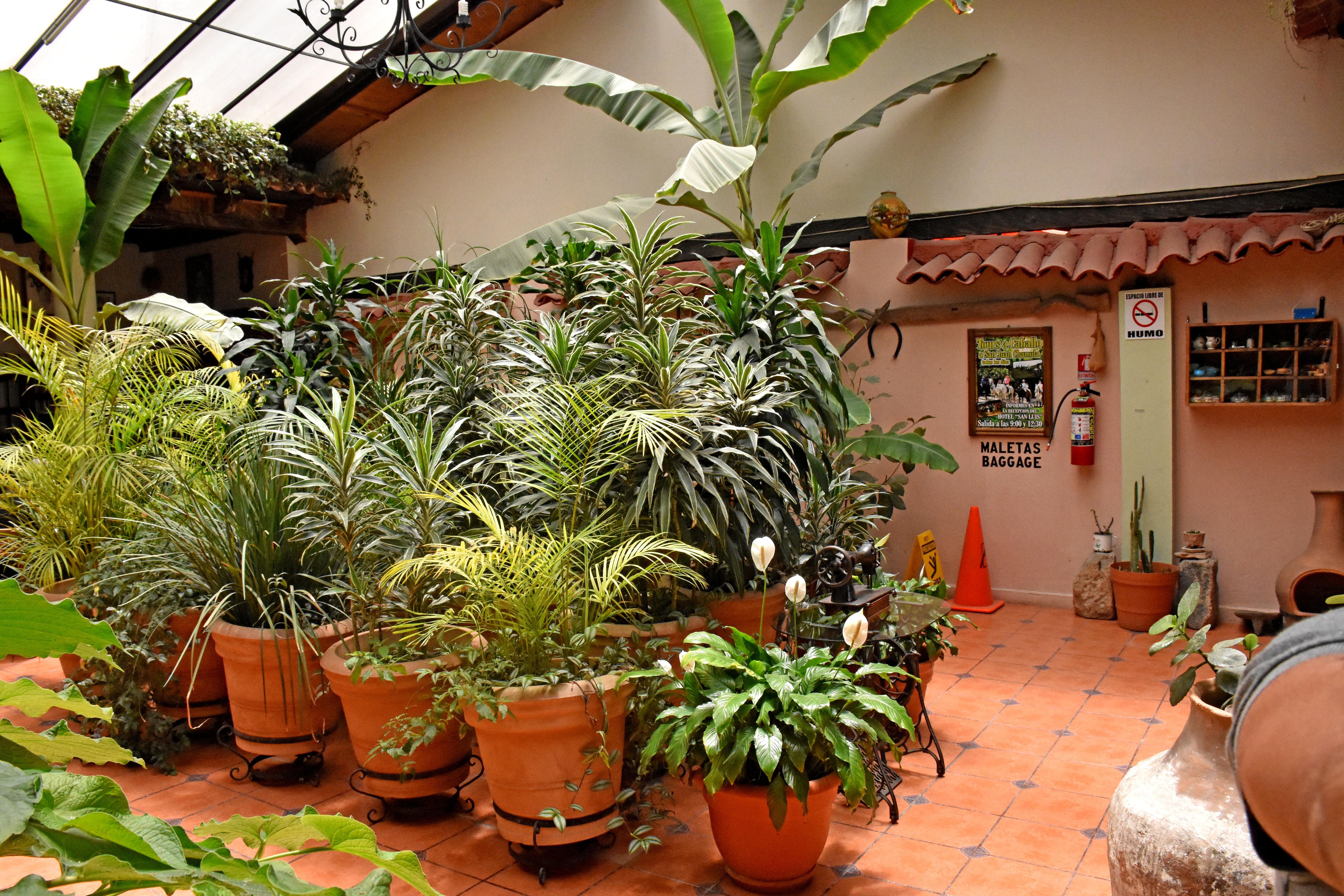Hotel San Luis San Cristóbal de Las Casas Eksteriør billede