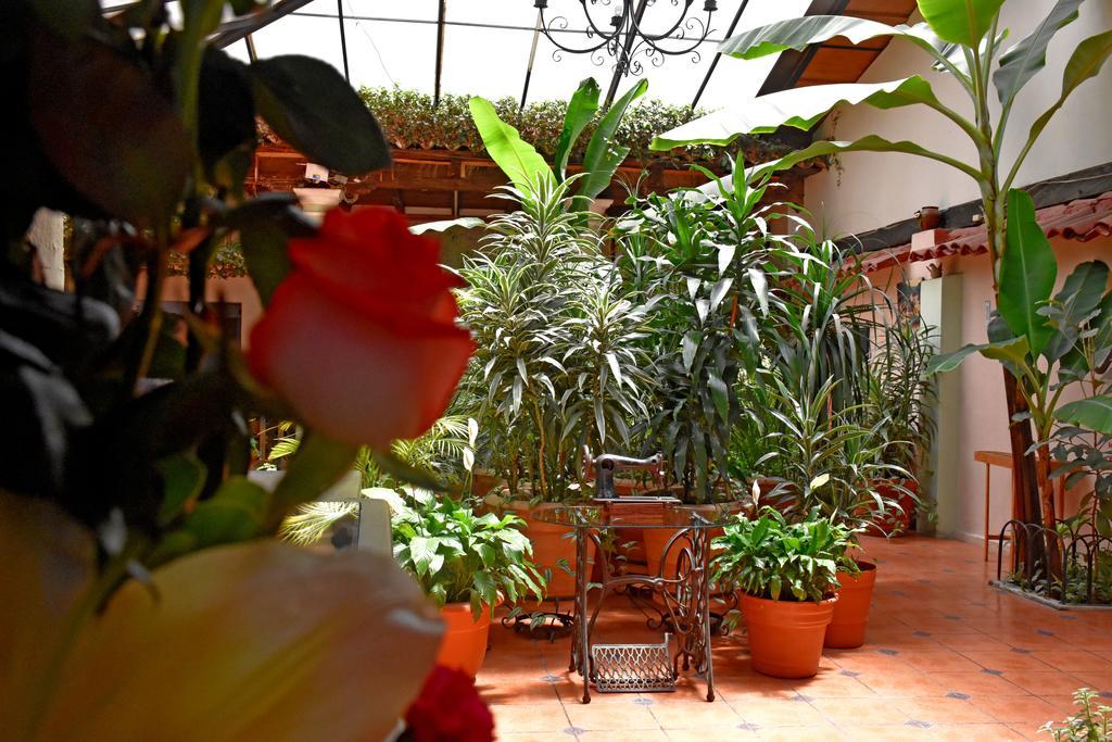 Hotel San Luis San Cristóbal de Las Casas Eksteriør billede
